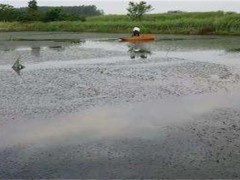 梅雨季节养殖塘该怎么管理