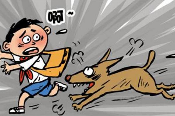 梦境解析，为何会梦到被很多狗追着咬？