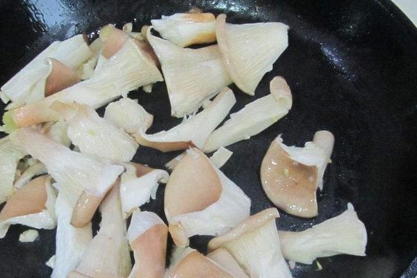 猪肚菇功效与作用及禁忌 猪肚菇的营养价值