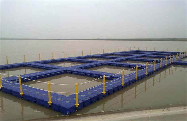 海洋牧场科技范儿（“融”观中国）