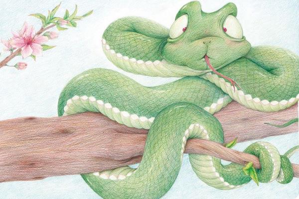 梦见毒蛇是什么意思 女人梦到好多毒蛇有什么预兆