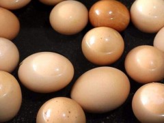 坏鸡蛋做花肥的方法？