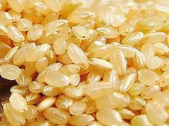 什么是糙米？