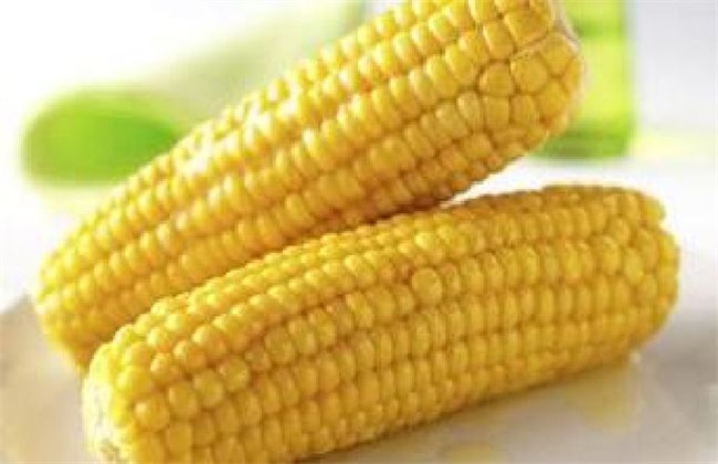 玉米 高温危害 预防
