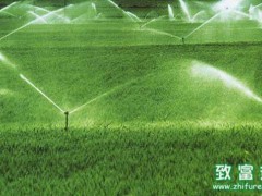 不同环境下作物如何选用节水灌溉技术