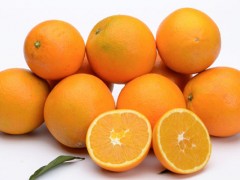 脐橙和橙子的区别？