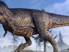 恐龙的体型有多大？