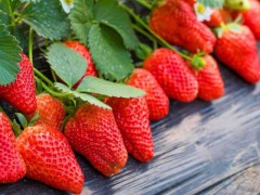 草莓侧芽多了怎么办？