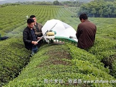 采茶机的正确使用方法