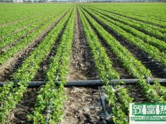 冬季灌溉系统的维护和保养