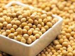 大豆沤肥属于什么肥？