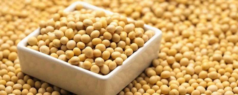 大豆沤肥属于什么肥