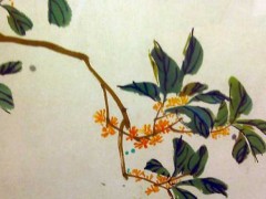关于描写桂花的古诗词有哪些?