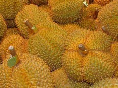 榴莲怎么催熟?