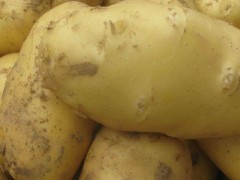 土豆疮痂病特效药？