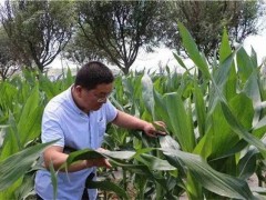 微生物农药的优缺点