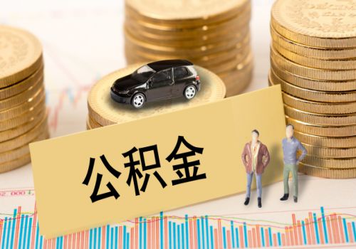 2019年的公积金缴存出现了哪些变化？缴存调整的依据是什么？