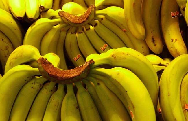 经期可以吃香蕉吗