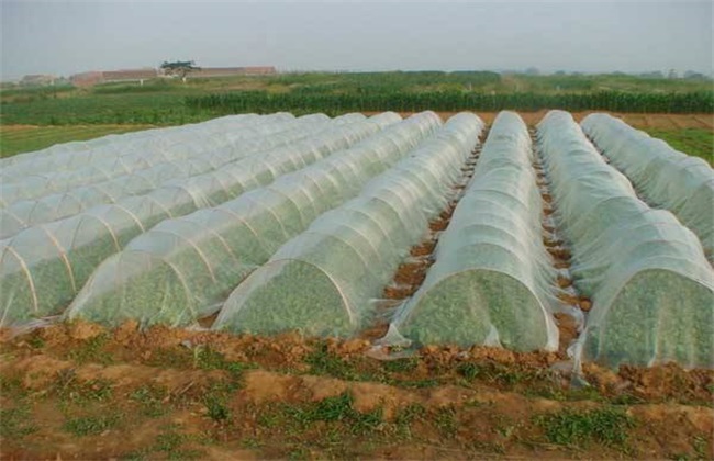 微生物农药 使用常见误区