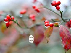 2017年雨水是几月几日?