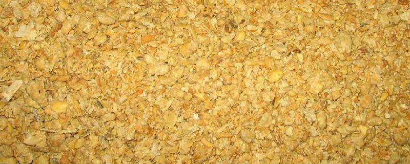 豆粕喂牛用开水泡吗