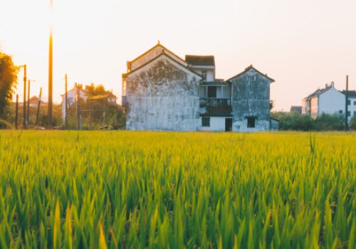 湖南公布首批十个农业特色小镇,产值将从180亿元提升至300亿元以上！