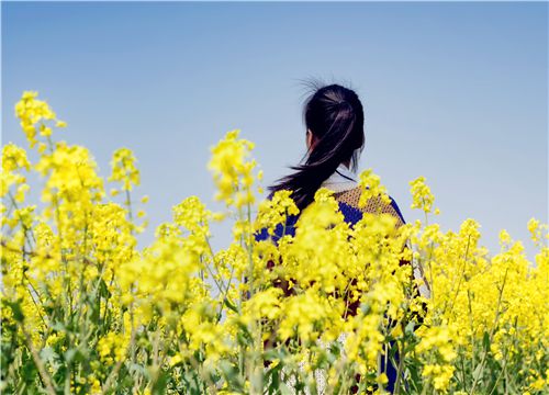 2019农村外嫁女有哪些新规定？有权分得土地补偿款吗？