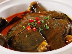 铁板甲鱼是真的吗?