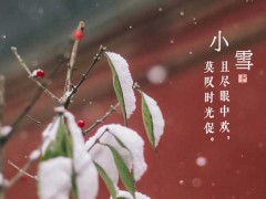 小雪节气是什么意思?