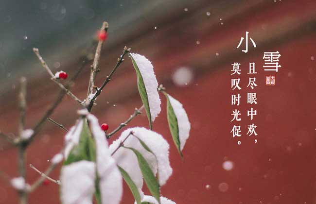 小雪<a href=https://www.dadasou.com/ny/qijie/ target=_blank class=infotextkey>节气</a>是什么意思