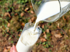 “白色血液”牛奶和“奶中之王”羊奶哪个好？