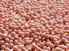 国内大豆价格大幅度上涨的态势结束,后期价格涨跌情况会如何?