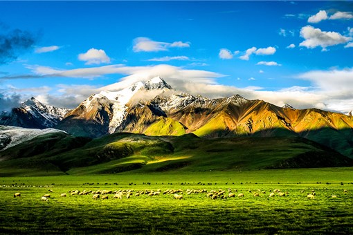 西藏高原农业特色