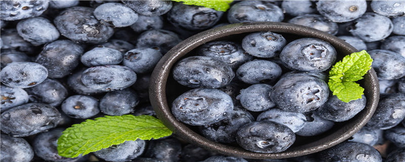 蓝莓的食用禁忌