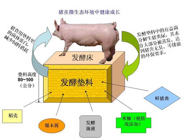 微生物饲料添加剂