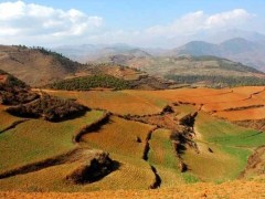 2018年农村土地流转新政策