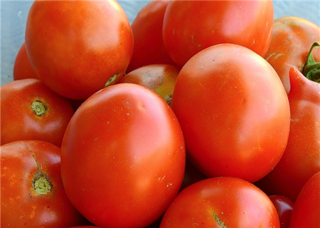 西红柿价格近四个月上涨84%！货源少导致频繁刷新零售价