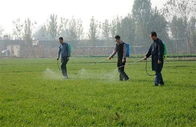 除草剂降解 除草剂 降解方式