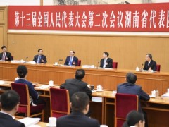 王岐山参加湖南代表团审议：强调要坚定自信,办好中国自己的事