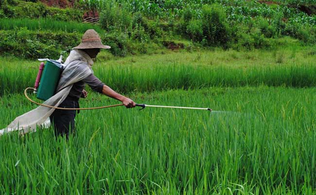 节约成本少污染的农药喷洒方式