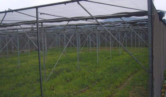 怎样搭建简易遮阴棚