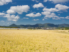 广西荔浦：发展“旅游+工业+农业”模式,旅游扶贫帮助农户改善生活