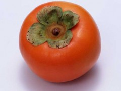 吃柿子的禁忌有哪些?