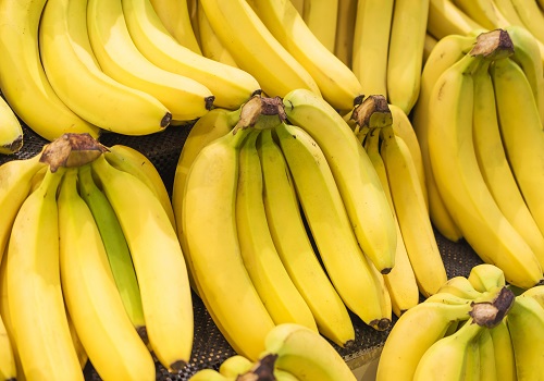 香蕉价格上涨