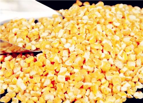 新季玉米上市价格将下跌,专家预测2020玉米价格有望上涨！（附各地最新价格）