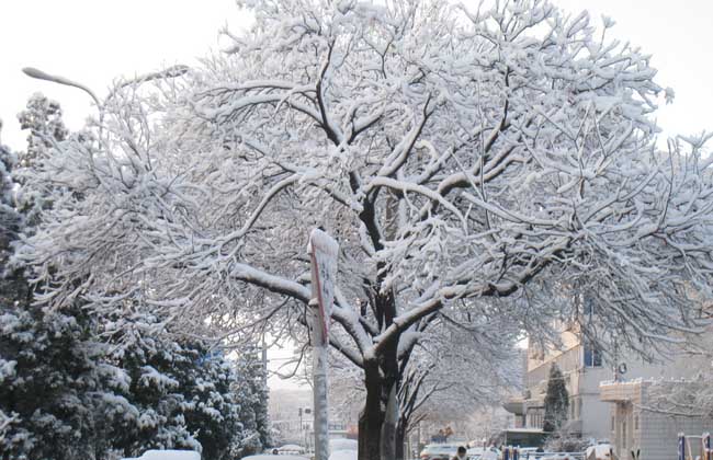 大雪节气是什么意思