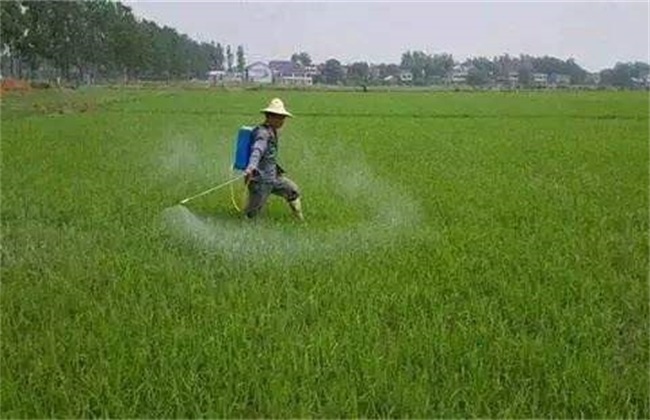 除草剂降解 除草剂 降解方式