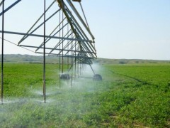 什么才是真正的节水农业？如何通过节水农业实现技术用水、高效用水