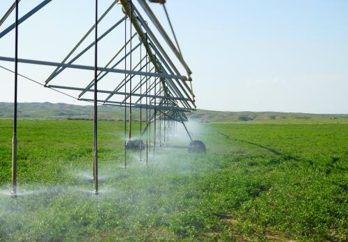 什么才是真正的节水农业？如何通过节水农业实现技术用水、高效用水？