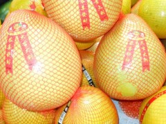 吃柚子可以减肥吗?